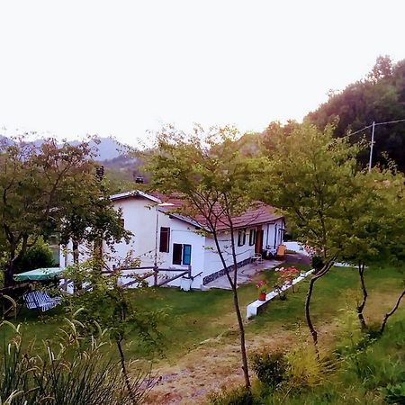 B&B La Casa Del Daino Миллезимо Экстерьер фото